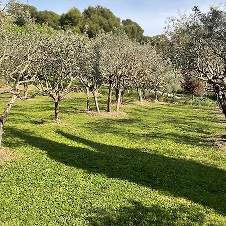 Mas La Floreline Cheval-Blanc Dış mekan fotoğraf