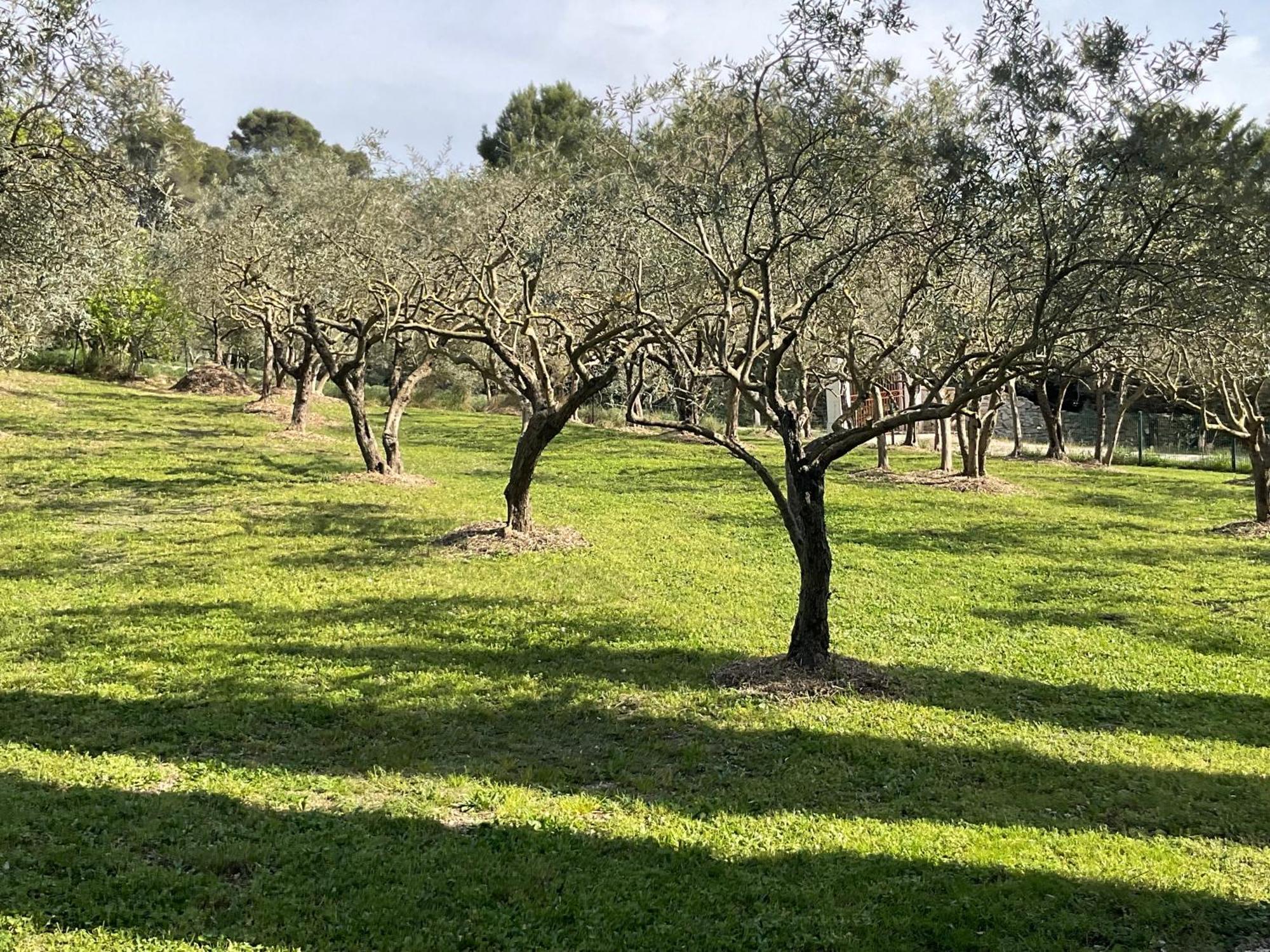 Mas La Floreline Cheval-Blanc Dış mekan fotoğraf